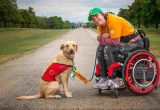 Chloe Hammond sat in wheelchair in grey trousers, orange top and green hot. She is holding her assistance dog Ocho, who is a golden labrador.
